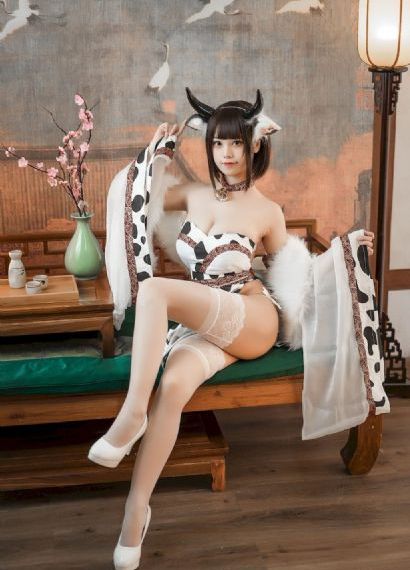 疯狂的麦克斯6免费观看完整版_不卡在线观看